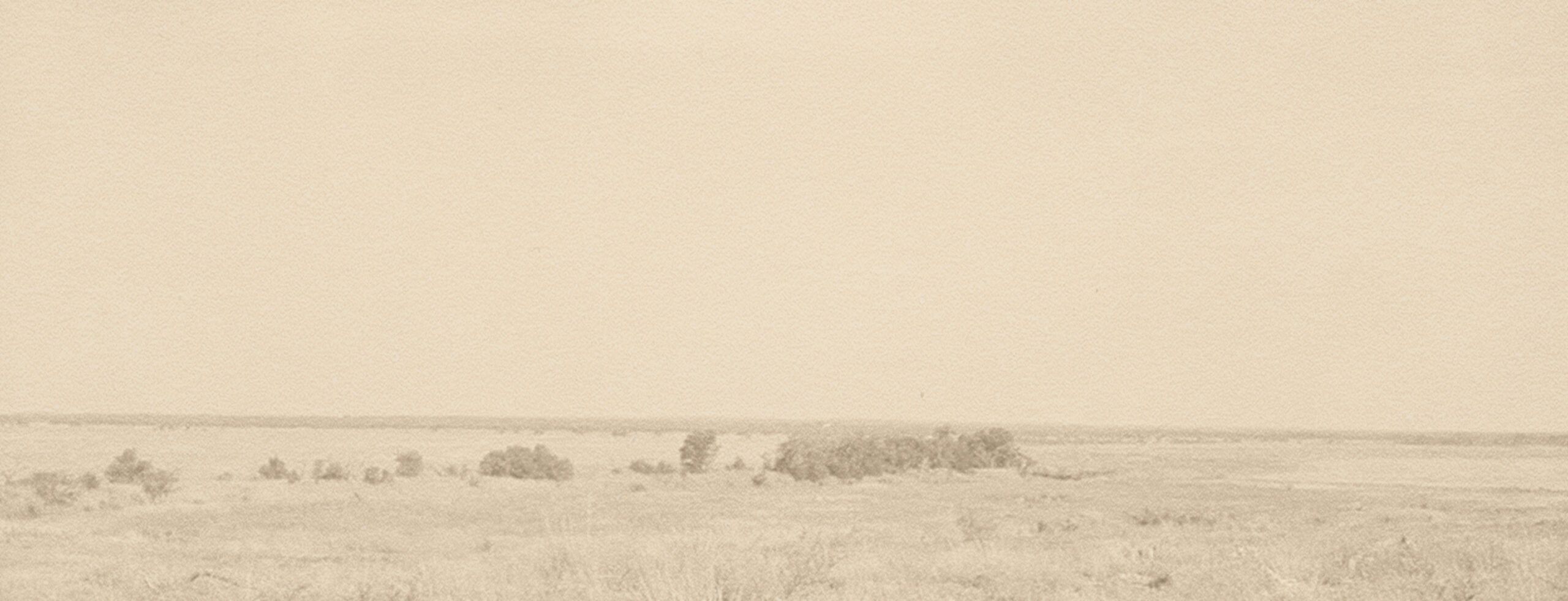 Sepia-toned image of a flat, open landscape with sparse trees and grass under a wide sky near The Grazery restaurant at Two Step Farm, TX.